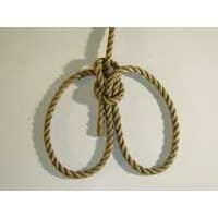 GASSA D'AMANTE FRANCESE