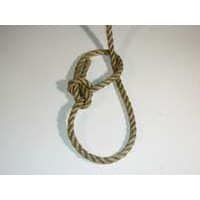 GASSA D'AMANTE SCORSOIA