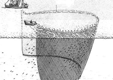 RETE DA CIRCUIZIONE
