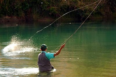 PESCA A MOSCA INGLESE