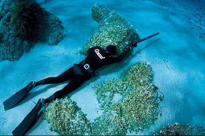 PESCA SUBACQUEA IN APNEA