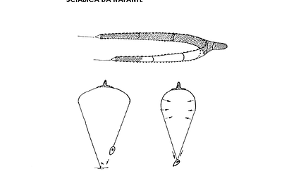 SCIABICA DA NATANTE (RETE)